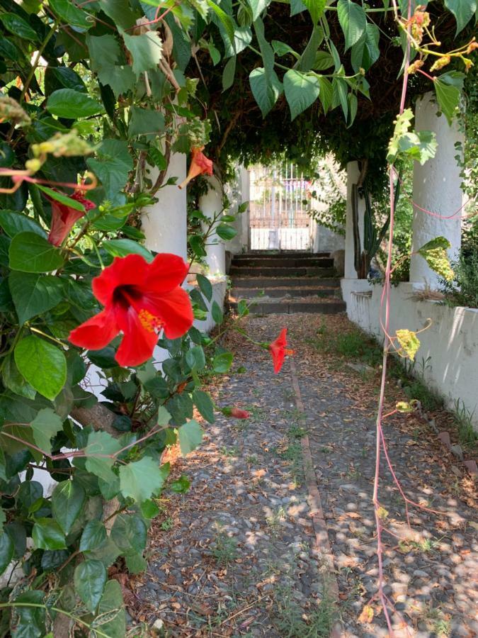 Apartamento Casa Diana Arianna Lipari  Exterior foto